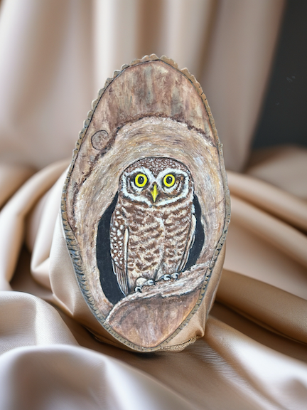 Little Owl Painting on wood Numbered and signed very cool prints wildlife Tall Ships Military Kandahar Prints